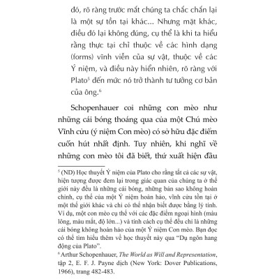 Mèo Và Triết Lý Nhân Sinh