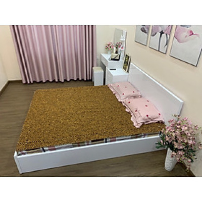 Chiếu Hạt Gỗ Bách Xanh Cao Cấp Hạt 1.2cm ( video , hình thật )