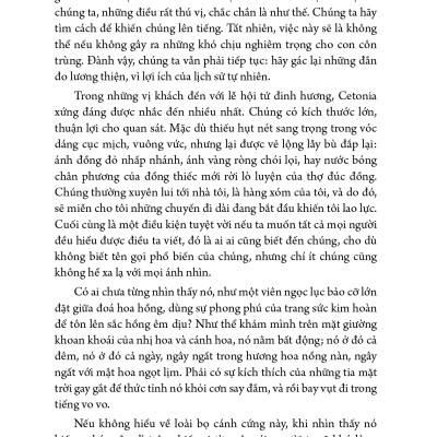 Côn trùng ký tập 8 - Ấn bản hoàn chỉnh nhất