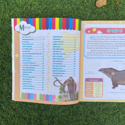 Sách: Combo 4 cuốn Bách Khoa Động Vật Dành Cho Trẻ Nhỏ: Thú Cưng + Côn Trùng + Khủng Long + Động Vật Tiền Sử - TSTH