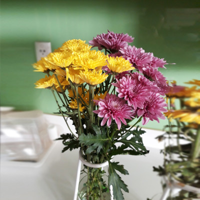 GÓI DƯỠNG HOA TƯƠI LONGLIFE CỦA ISRAEL (COMBO 30 GÓI), GIỮ HOA TƯƠI LÂU GẤP 2 LẦN VÀ 14 NGÀY KHÔNG THAY NƯỚC MỚI