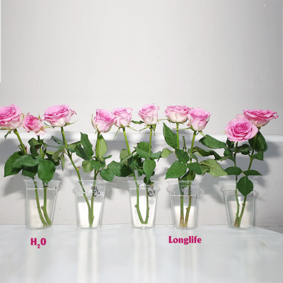 Dinh Dưỡng Giữ Hoa Hồng cắm bình Lâu Tàn - Food For Cut Flowers (Set 50 gói loại 5gr) giúp hoa luôn tươi mớ, cứng cáp gấp 2 lần và trong 14 ngày không thối nước hay cắt tỉa gốc hoa, nhập khẩu Israel