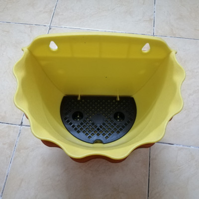 5 Chậu Ốp Tường Bán Nguyệt Trồng Hoa