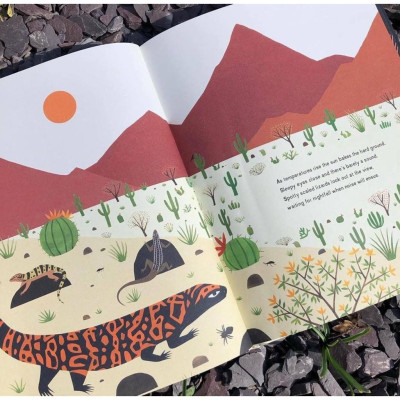 Sách The Night Flower - Sự nở hoa của cây xương rồng Saguaro