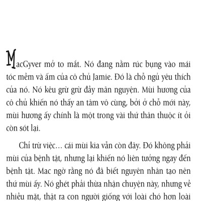Nhân Duyên ... Mèo Định (FN)