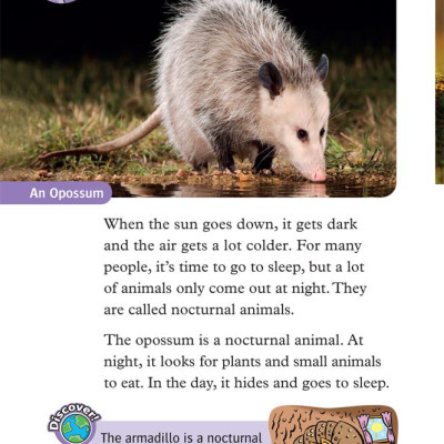 Oxford Read and Discover 4 Animals at Night