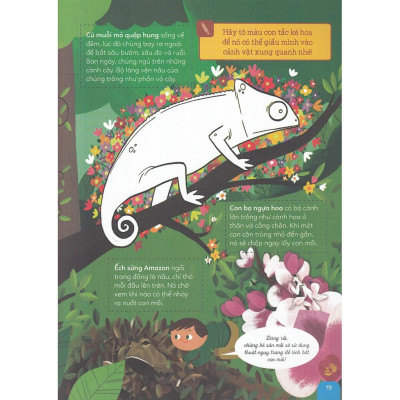 Combo Khám Phá Rừng Già Động Vật Hoang Dã + Du Hành Ngược Thời Gian Đến Xứ Sở Khủng Long - Bản Quyền