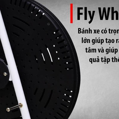 Xe đạp tập thể dục trong nhà BG 8702 Plus (hàng nhập khẩu)