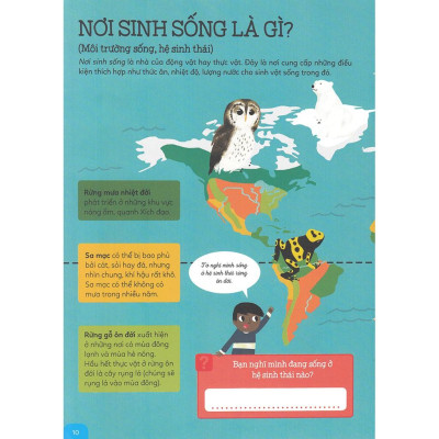 Combo Khám Phá Rừng Già Động Vật Hoang Dã + Du Hành Ngược Thời Gian Đến Xứ Sở Khủng Long - Bản Quyền