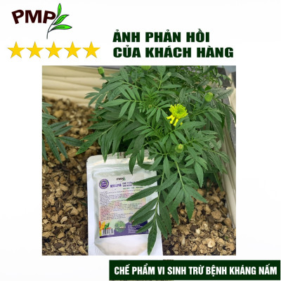Combo chế phẩm vi sinh trừ bệnh, trừ sâu PMP cho rau sạch, hoa, cây cảnh (Biomic & Killpa & Mật gỉ đường)