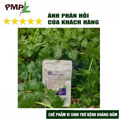 Combo chế phẩm vi sinh trừ bệnh, trừ sâu PMP cho rau sạch, hoa, cây cảnh (Biomic & Killpa & Mật gỉ đường)