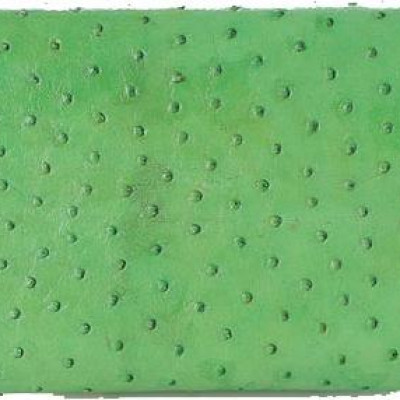 Túi xách nữ da đà điểu Huy Hoàng đeo chéo màu xanh lá HT6435