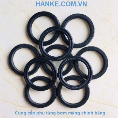 Vòng Đệm Chữ V QBY3-20-25VXQ