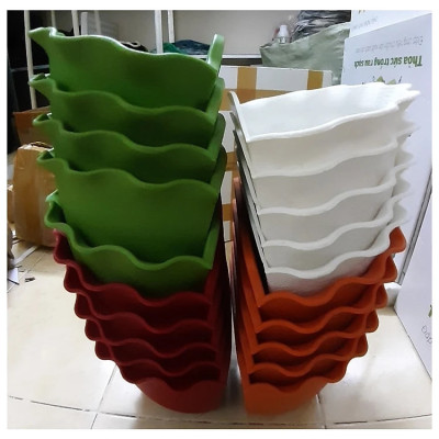 5 Chậu Ốp Tường Bán Nguyệt Trồng Hoa