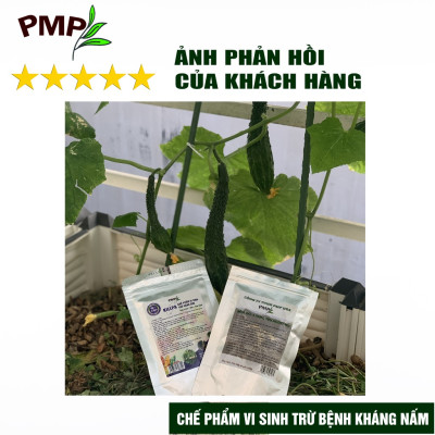 Combo chế phẩm vi sinh trừ bệnh, trừ sâu PMP cho rau sạch, hoa, cây cảnh (Biomic & Killpa & Mật gỉ đường)
