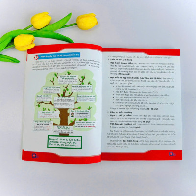  Chinh phục điểm 10 đề kiểm tra học kì Tiếng Việt 2 (Bộ sách KNTTVCS)