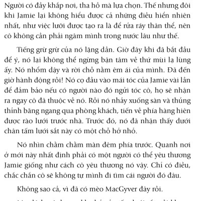 Nhân Duyên ... Mèo Định (FN)
