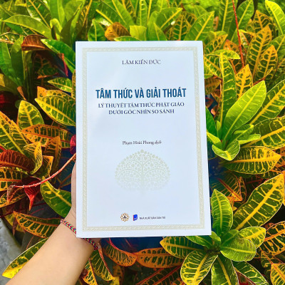 Sách - - Tâm Thức Và Giải Thoát - Lý thuyết tâm thức Phật giáo dưới góc nhìn so sánh - Vĩnh Nghiêm Books