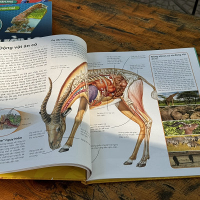 (Bìa cứng) COMBO 5 CUỐN HÀNH TRÌNH KHÁM PHÁ: MÔI TRƯỜNG, ĐỘNG VẬT, THỰC VẬT, CÔN TRÙNG, CƠ THỂ CON NGƯỜI_Tân Việt - NXB Mỹ Thuật