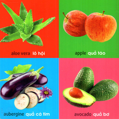 101 First Words - Plants (101 Từ Đầu Tiên - Thực Vật) _ML