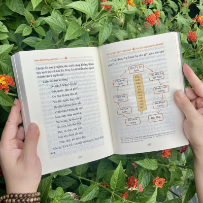 Sách - Giải Mã Thiền Định Và Giải Thoát - Chìa Khóa Chứng Ngộ Của Đức Phật