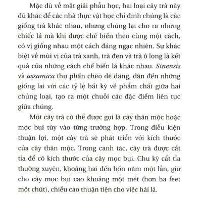 Lịch Sử Của Trà - Tác Giả Laura C Martin (HH)