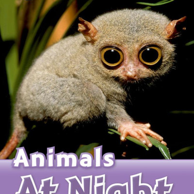 Oxford Read and Discover 4 Animals at Night