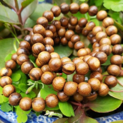 VÒNG TAY NAM NỮ GỖ BÁCH XANH – VẬN TÀI – MAY MẮN ( Mian .vn)