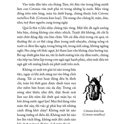 Côn trùng ký tập 8 - Ấn bản hoàn chỉnh nhất