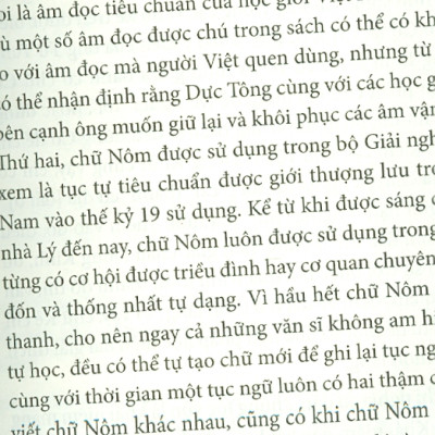 SỬ VIỆT - Nhìn Từ Tài Liệu Nguồn - Trần Kinh Hòa (Cheng Nin Ho) - Nguyễn Mạnh Sơn dịch - (bìa mềm)