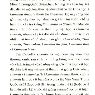 Lịch Sử Của Trà - Tác Giả Laura C Martin (HH)