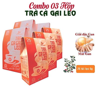 Combo 03 Hộp Trà Cà gai leo Thái Hưng 25 túi lọc x 05g (125g) - Mát gan, giải độc, giải rượu, giảm mụn nhọt
