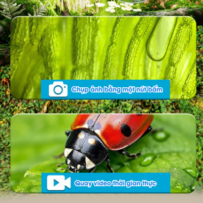 SCIENCE HORSE - SD669 - Kính Hiển Vi Điện Tử Wifi (STEAM)