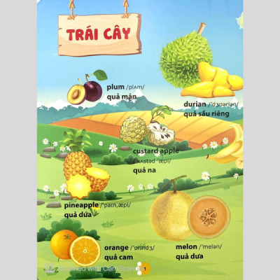 Từ Điển Phát Triển Ngôn Ngữ Bằng Hình Dành Cho Trẻ Mầm Non - Chủ Đề: Phương Tiện Giao Thông + Thành Viên Trong Gia Đình + Trái Cây + Rau Củ