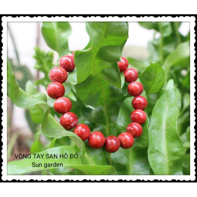 VÒNG TAY PHONG THỦY SAN HÔ ĐỎ MAY MẮN BÌNH AN