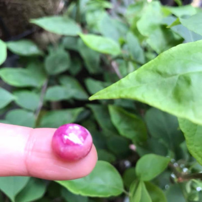 VIÊN ĐÁ RUBBY HỒNG TRÒN ĐẸP NHƯ BÔNG HOA PHÍA TRÊN VIÊN ĐÁ TRÒN DẦY ĐẸP LẮM LUÔN LÀM MẶT NHẪN DÂY CHUYỀN Size DÀI 12mm X NGANG 11mm x DẦY 7mm