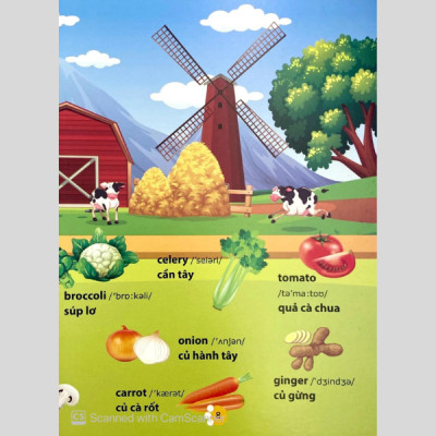 Từ Điển Phát Triển Ngôn Ngữ Bằng Hình Dành Cho Trẻ Mầm Non - Chủ Đề: Phương Tiện Giao Thông + Thành Viên Trong Gia Đình + Trái Cây + Rau Củ