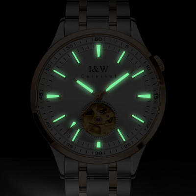 Đồng hồ nam chính hãng IW CARNIVAL IW590G-1 Kính sapphire ,chống xước,Chống nước ,Bảo hành 24 tháng,Máy cơ (Automatic),Dây kim loại thép không gỉ 316L,thiết kế lộ cơ 