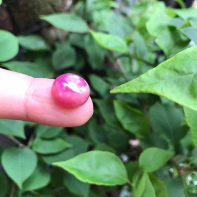 VIÊN ĐÁ RUBBY HỒNG TRÒN ĐẸP NHƯ BÔNG HOA PHÍA TRÊN VIÊN ĐÁ TRÒN DẦY ĐẸP LẮM LUÔN LÀM MẶT NHẪN DÂY CHUYỀN Size DÀI 12mm X NGANG 11mm x DẦY 7mm