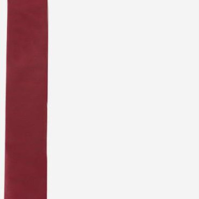 Cà Vạt Nam Họa Tiết Hoa Titishop CA4 (140 x 5.5 cm) - Đỏ