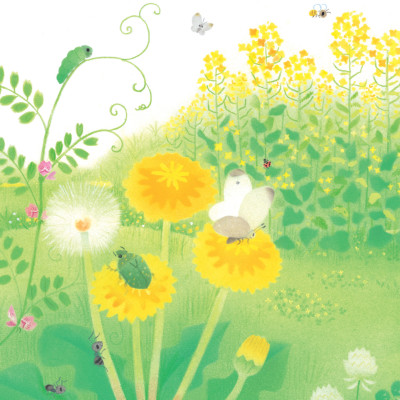 Sách - Gà con và hoa hướng dương