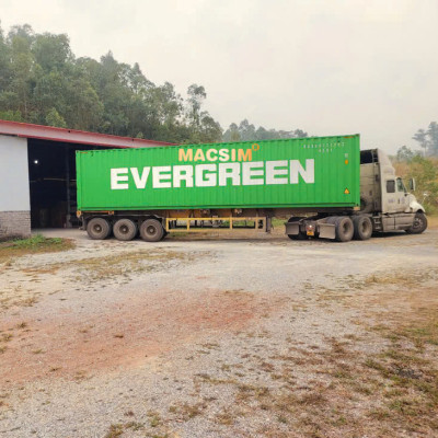 Lọc gió điều hòa cao cấp Macsim N95 xe ô tô Landrover Ranger rover 2013 - 2016 (mã MS1919)