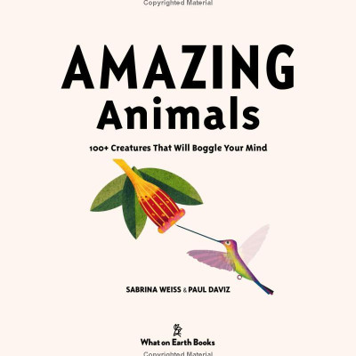 Amazing Animals: 100+ Creatures That Will Boggle Your Mind