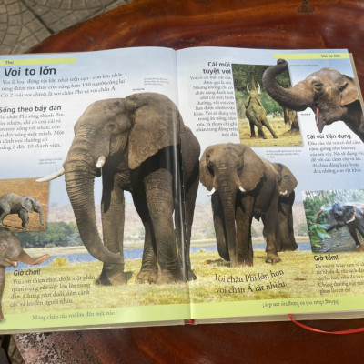 [BÁCH KHOA CHO TRẺ EM] – BÁCH KHOA ĐỘNG VẬT – MỞ MANG KIẾN THỨC KHƠI DẬY TIỀM NĂNG– tủ sách DK – Đông A – Bìa Cứng in màu toàn bộ