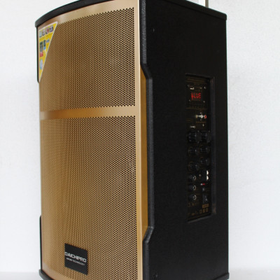 Loa Kéo Di Động Karaoke Bass 30 Daichipro DCP-12A (600W) 3 Tấc - Chính Hãng