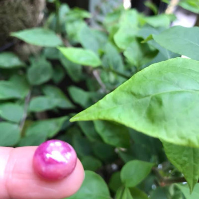 VIÊN ĐÁ RUBBY HỒNG TRÒN ĐẸP NHƯ BÔNG HOA PHÍA TRÊN VIÊN ĐÁ TRÒN DẦY ĐẸP LẮM LUÔN LÀM MẶT NHẪN DÂY CHUYỀN Size DÀI 12mm X NGANG 11mm x DẦY 7mm