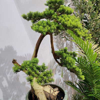 Cành tùng giả - dài 38cm - tán rộng 18cm - Cây giả, hoa lụa Decor trang trí nhà cửa