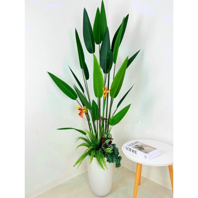 Cây thiên điểu lá nhọn giả - Size từ 120cm, 160cm, 180cm - Cây giả, hoa lụa Decor trang trí nhà cửa