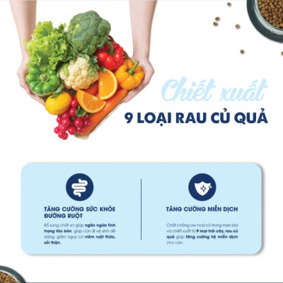 [5KG ]- Thức ăn cho chó TODAY