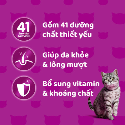 [Combo 12 Gói] Thức Ăn Cho Mèo WHISKAS 1+ years Vị Cá Ngừ, Gà 80g/Gói